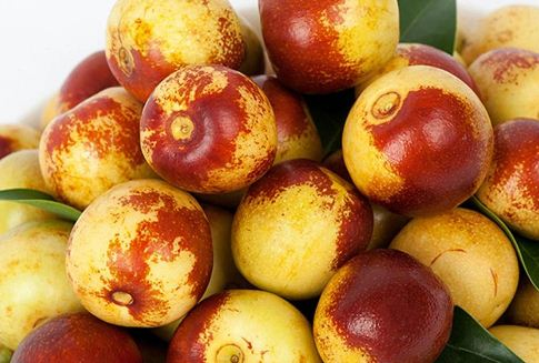 大荔冬枣（一）