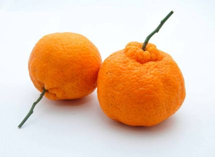 任何东西都应食用适量，过多食用无好处缩略图