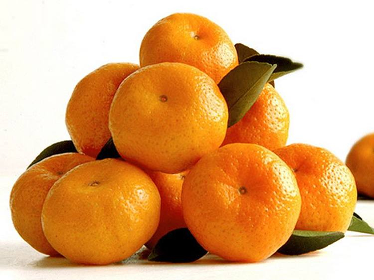 孕妇可以吃橘子吗缩略图
