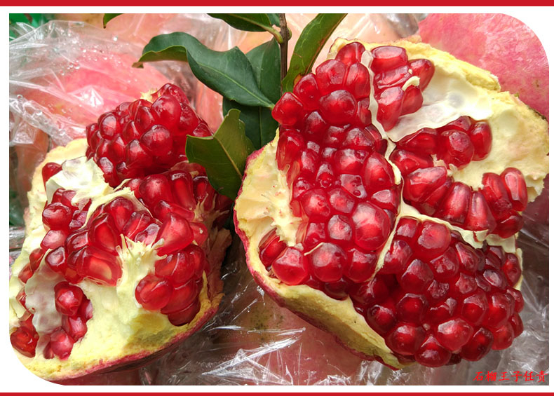 石榴是一种浆果其营养丰富维生素C比苹果高缩略图