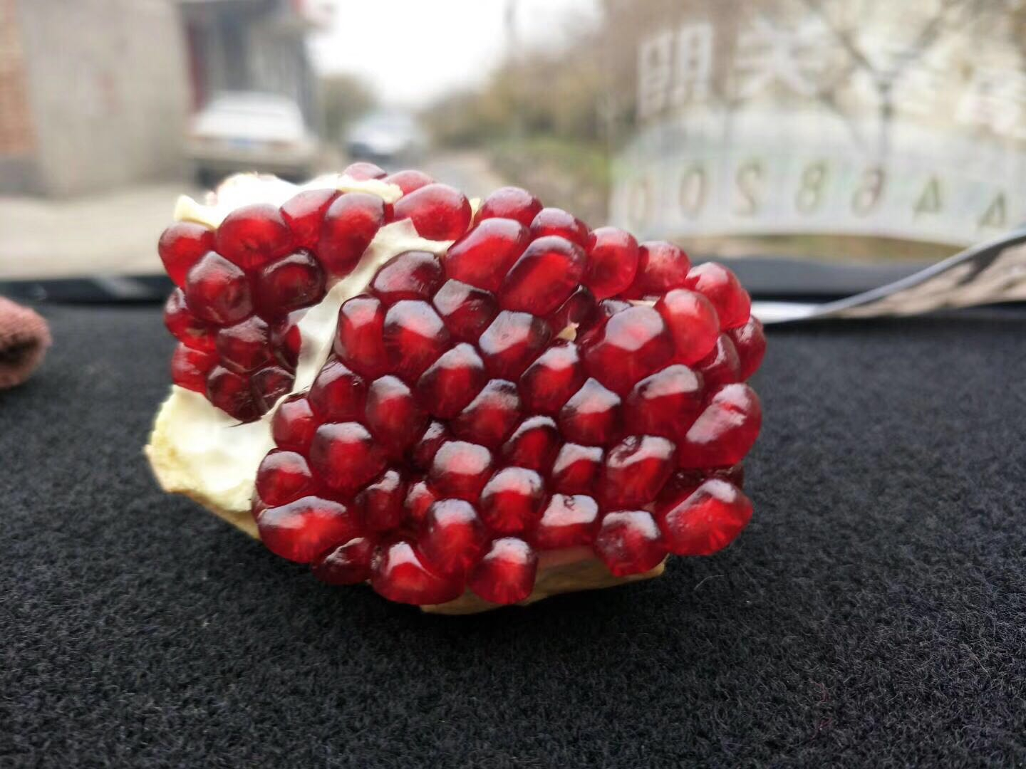 软籽石榴防冻措施防护技术缩略图