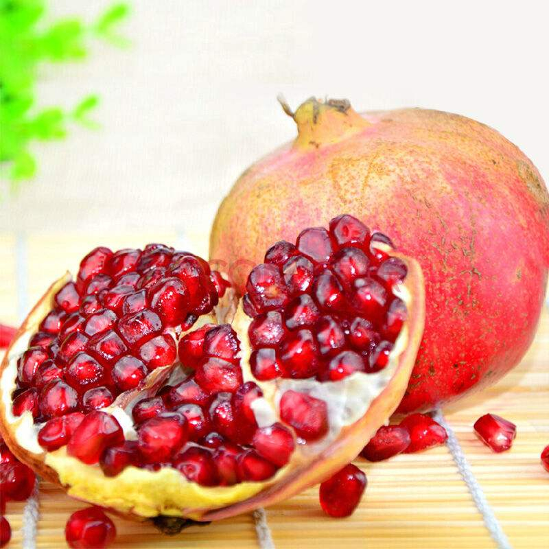 普通石榴和突尼斯软籽石榴有没有区别缩略图