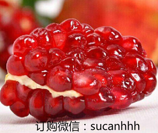 临潼石榴种植分布区域缩略图